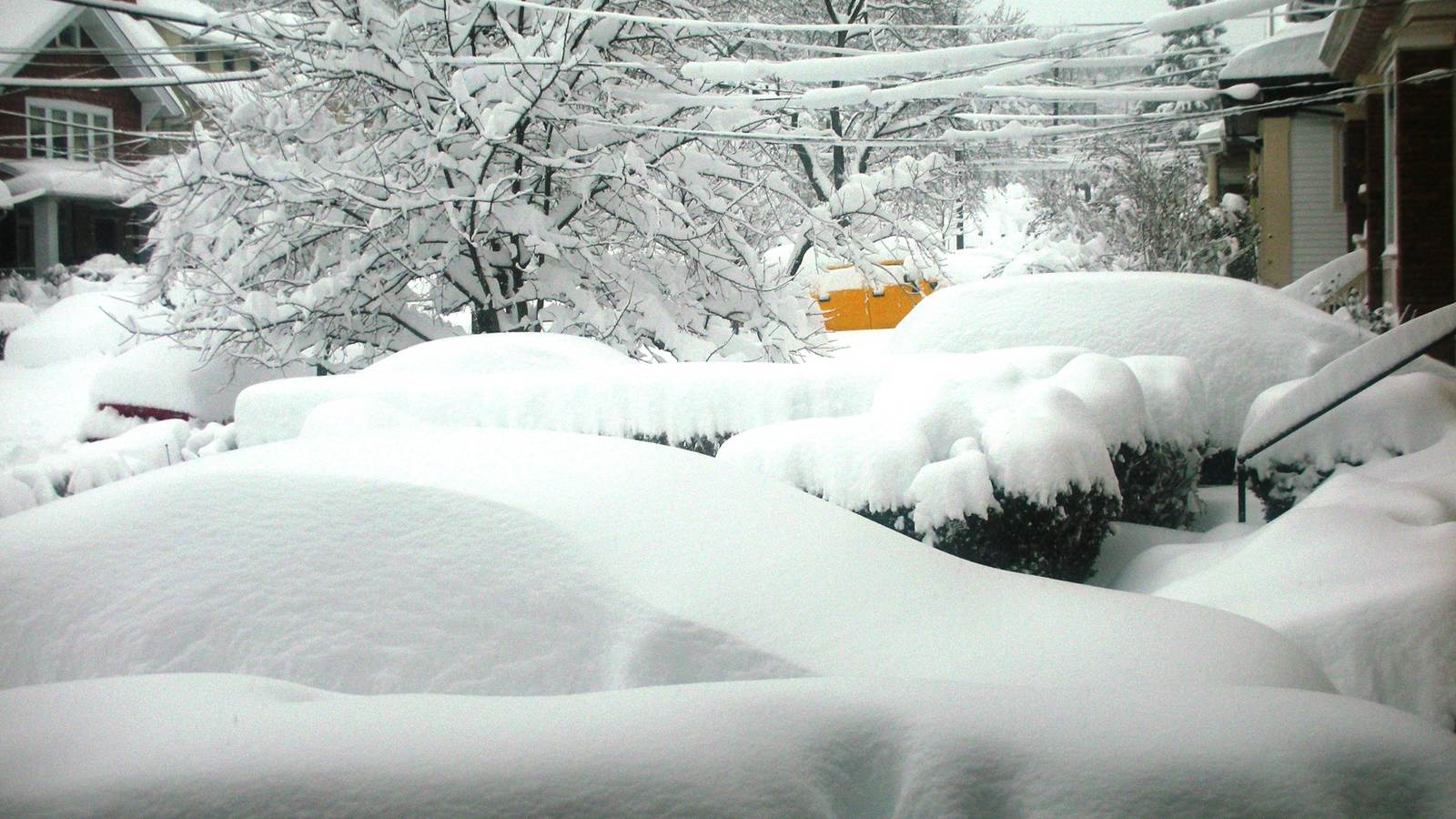 A Pittsburgh street the morning after a heavy snowfall, parked cars and hedges buried under deep snow.
